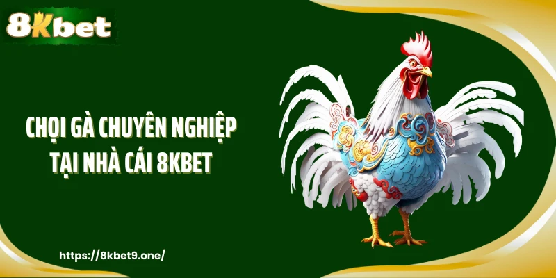 Chọi gà chuyên nghiệp tại nhà cái 8KBET