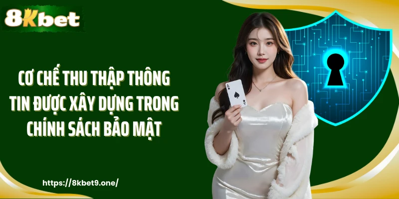 Cơ chế thu thập thông tin được xây dựng trong chính sách bảo mật