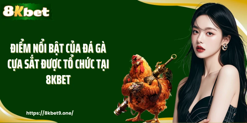 Điểm nổi bật của đá gà cựa sắt được tổ chức tại 8KBET