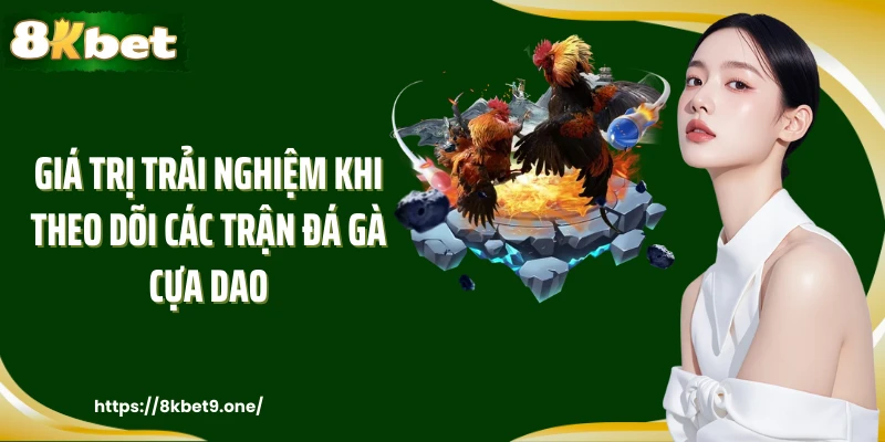 Giá trị trải nghiệm khi theo dõi các trận đá gà cựa dao