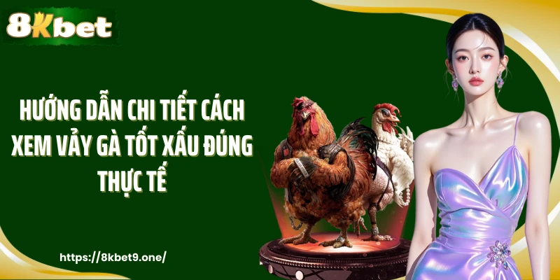 Hướng dẫn chi tiết cách xem vảy gà tốt xấu đúng thực tế