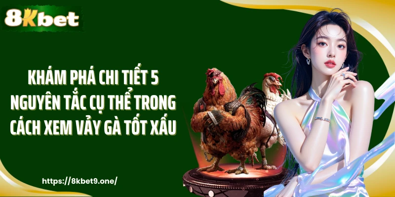 Khám phá chi tiết 5 nguyên tắc cụ thể trong cách xem vảy gà tốt xấu