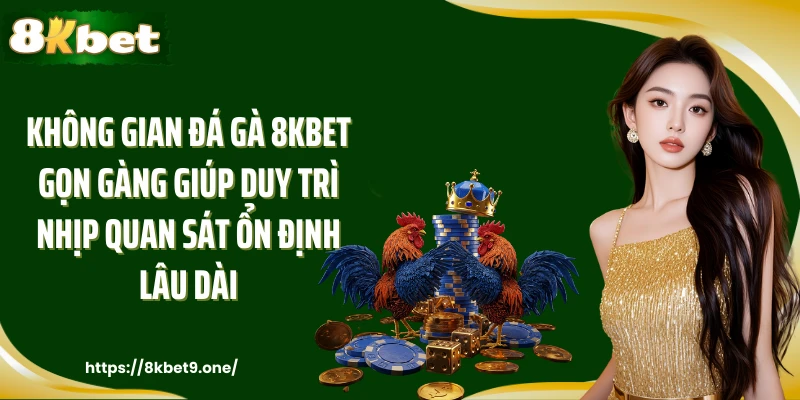 Không gian đá gà 8kbet gọn gàng giúp duy trì nhịp quan sát ổn định lâu dài