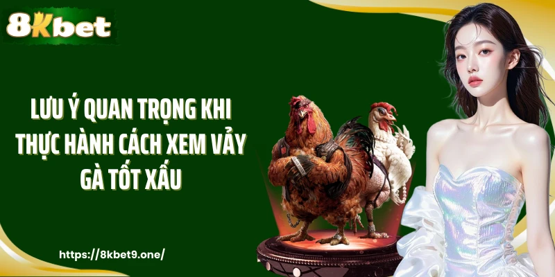 Lưu ý quan trọng khi thực hành cách xem vảy gà tốt xấu