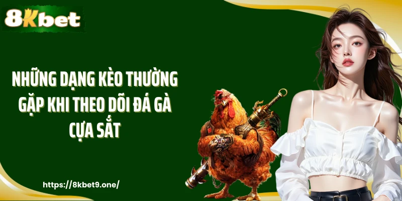 Những dạng kèo thường gặp khi theo dõi đá gà cựa sắt