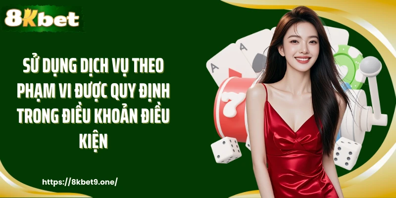 Sử dụng dịch vụ theo phạm vi được quy định trong điều khoản điều kiện